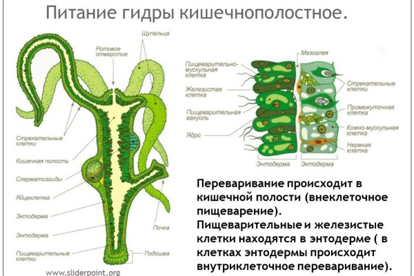 Рабочие ссылки и зеркала кракен